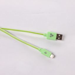 威馬仕光纖玻璃數(shù)據(jù)線 專為iPhone 5系列打造的時尚與實(shí)用之選